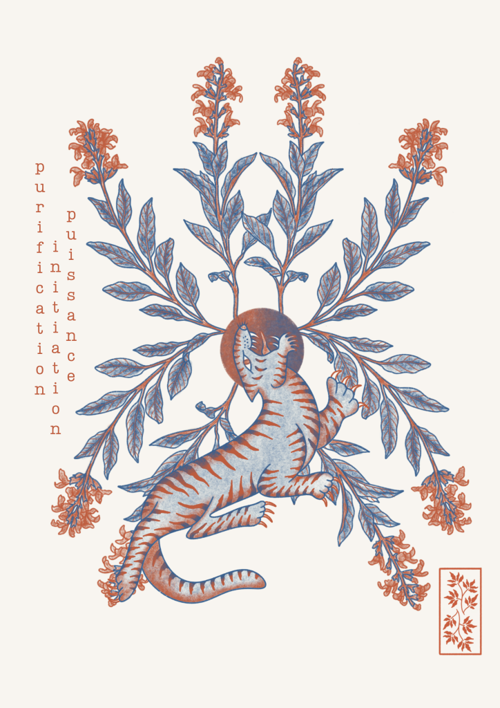 illustration tigre sauge oracle