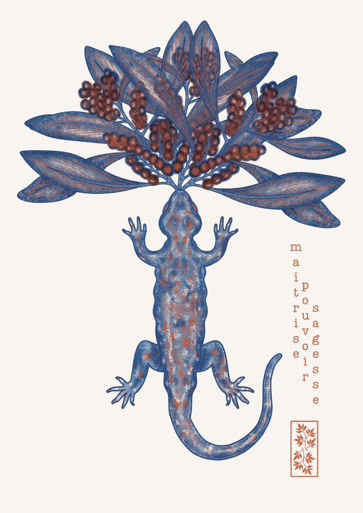 illustration salamandre acacia oracle symboles