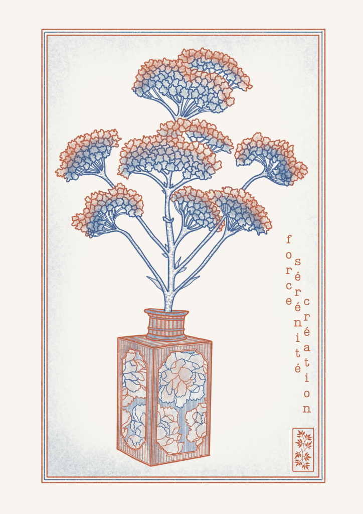illustration Vase Valériane